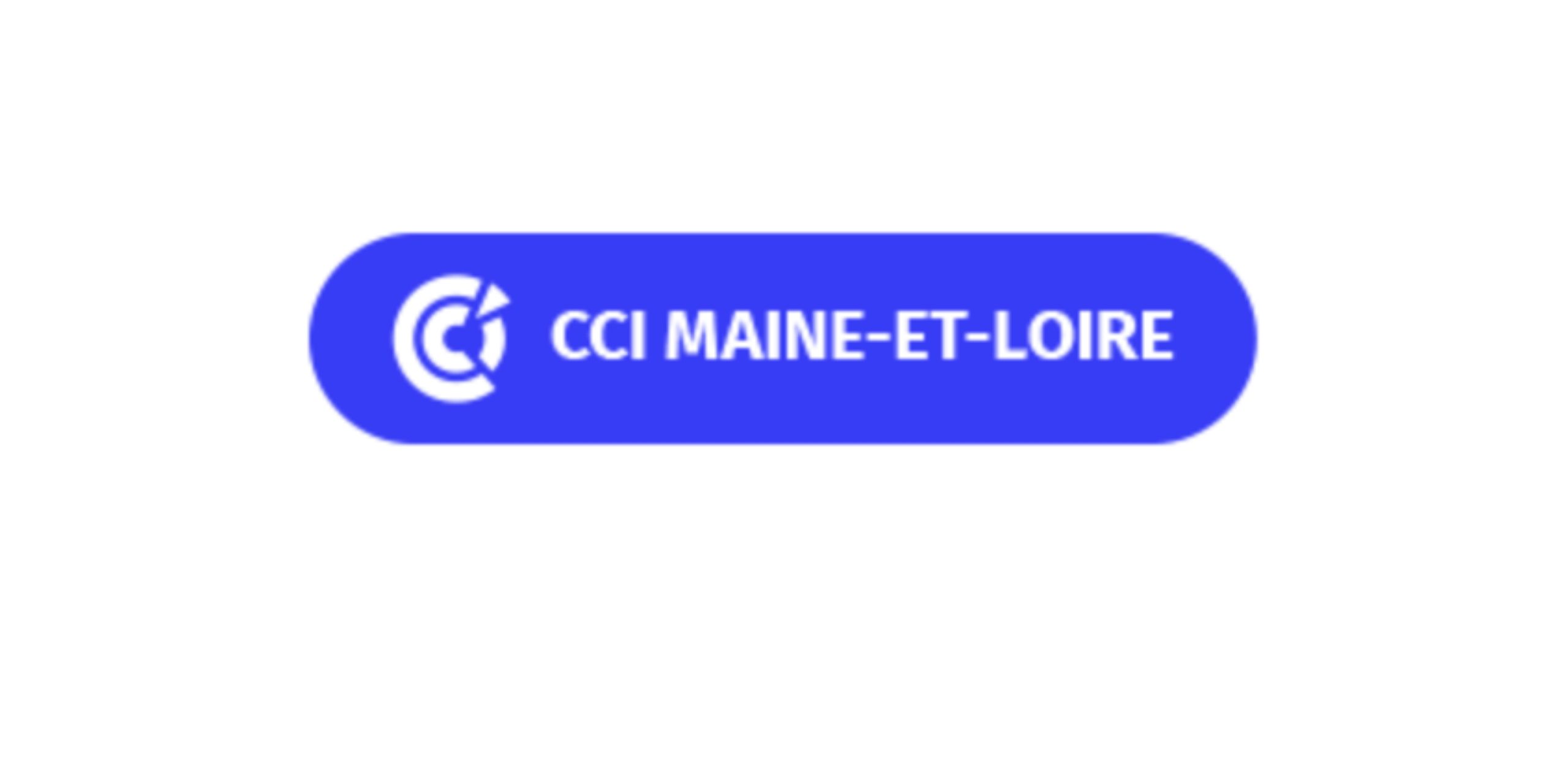 Lire la suite à propos de l’article Catalogue d’études France en français (disponibilité immédiate) – CCI Maine et Loire